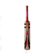 Gray Nicolls Quantum Smasher Bat,  SH  Kashmir Willow 