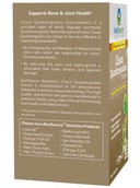 BestSource Nutrition Cissus Quandrangularis, 60 veggie capsule(s)