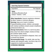 2 - NourishVitals Amla Vitamin C, 60 veggie capsule(s) Unflavoured (Pack of 3)