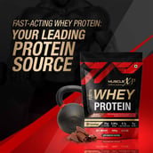 5 - MuscleXP 100% Whey Protein with Digestive Enzyme, 2.2 lb Double Chocolate