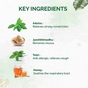4 - Dr. Vaidya's Tulsi-Ginger Cough Syrup (Pack of 2), 100 ml