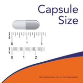 4 - Now Elderberry 500 mg, 60 veggie capsule(s)