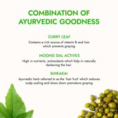 4 - Kapiva Curry Leaf Grey Control Hair Oil, 200 ml Hair Darkening