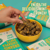 4 - Nourish Organics Popeas Organic Chickpea Puffs, Spicy Mint (Pack of 4) 60 g