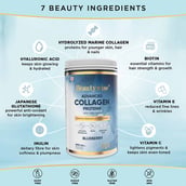 6 - Beautywise Advanced Collagen Proteins, 0.250 kg Blueberry